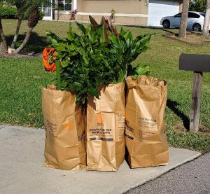 Compliant Horticulture Waste 3